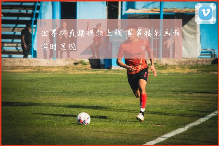 世界杯直播视频上线 赛事精彩画面实时呈现