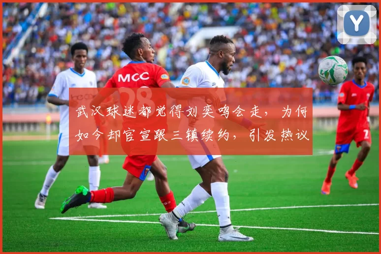 武汉球迷都觉得刘奕鸣会走，为何如今却官宣跟三镇续约，引发热议