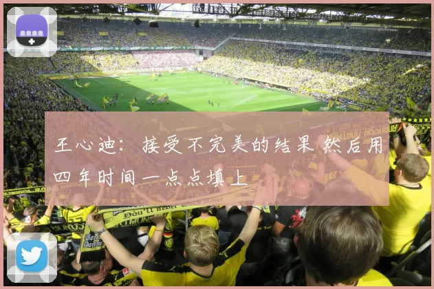 王心迪：接受不完美的结果 然后用四年时间一点点填上